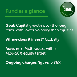 Cautious fund at a glance Feb24